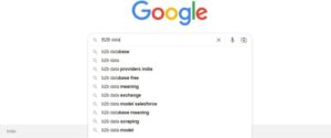 Google auto suggestions 